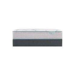New American Furniture Galleries Beauty Sleep Dream Weaver MD ET King Medium Euro Top Mattress
