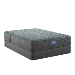 Online American Furniture Galleries Beautyrest Level One MED TT King Mattress