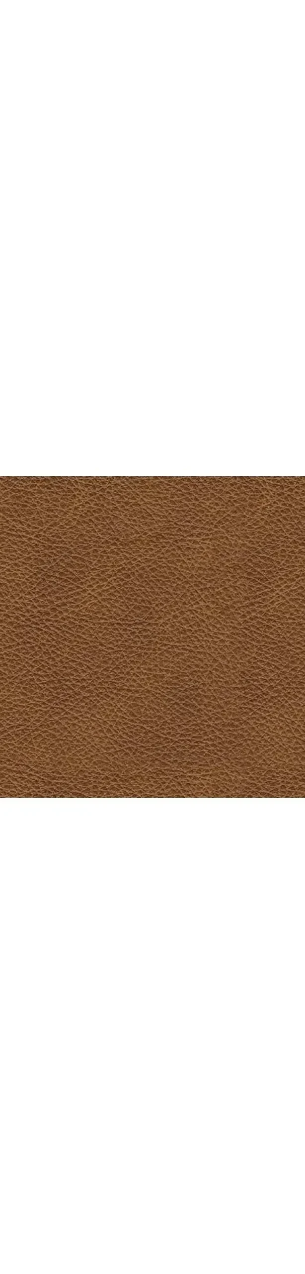 Best American Furniture Galleries Carianna Loveseat