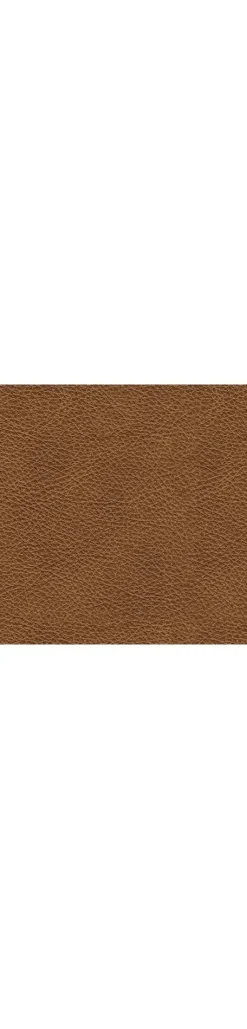 Online American Furniture Galleries Carianna Sofa
