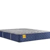 Clearance American Furniture Galleries Golden Elegance S6 Bridgerton  Firm TT King Mattress
