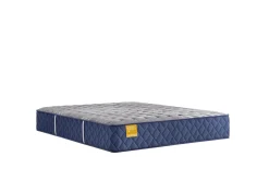 Clearance American Furniture Galleries Golden Elegance S6 Bridgerton  Firm TT King Mattress