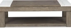 Hot American Furniture Galleries Loyaska Lift-Top Coffee Table
